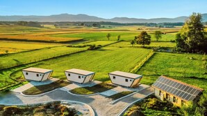 A rural landscape with three small, modern houses with solar panels, surrounded by green fields and a clear blue sky.