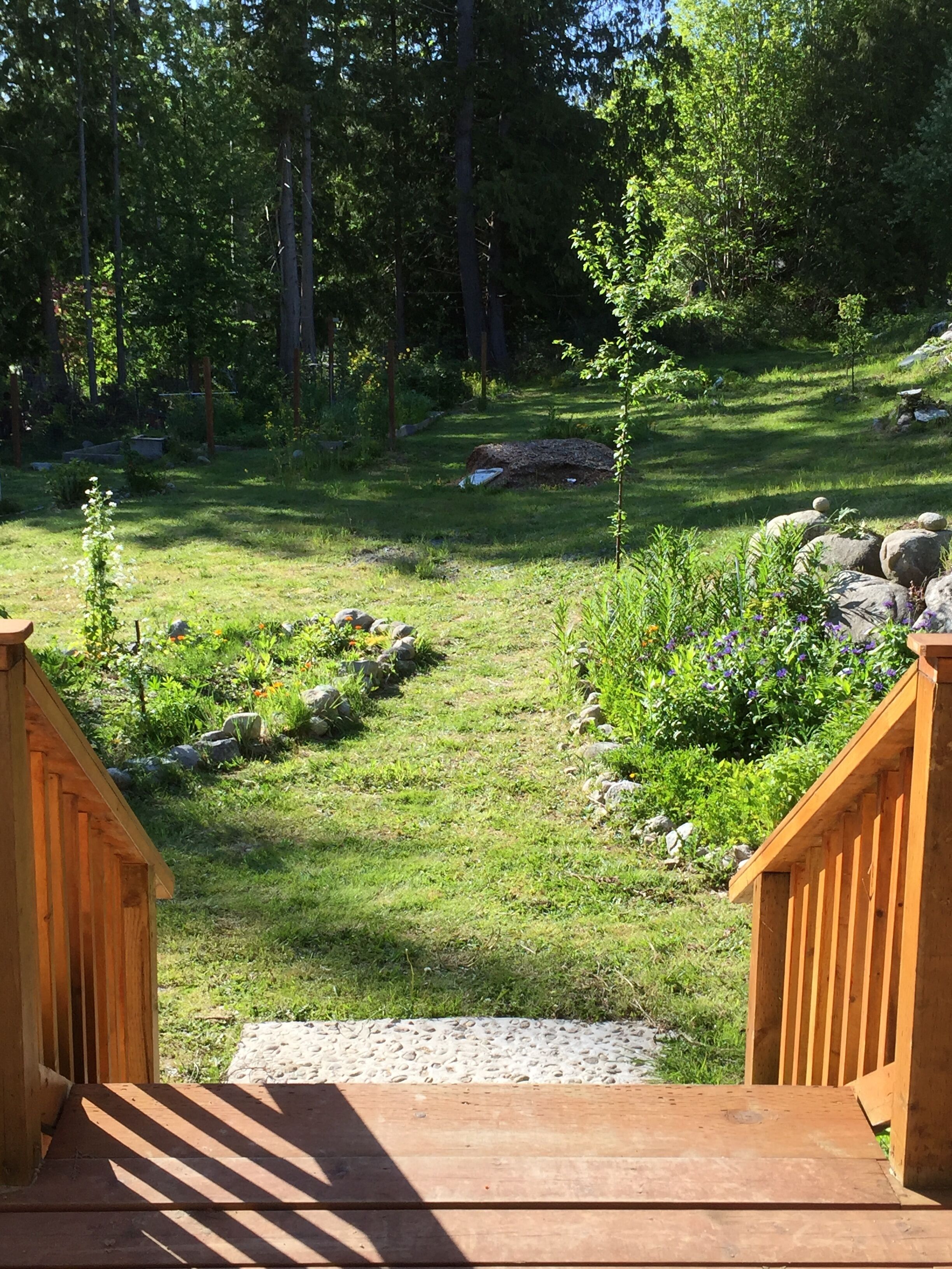 Área da propriedade