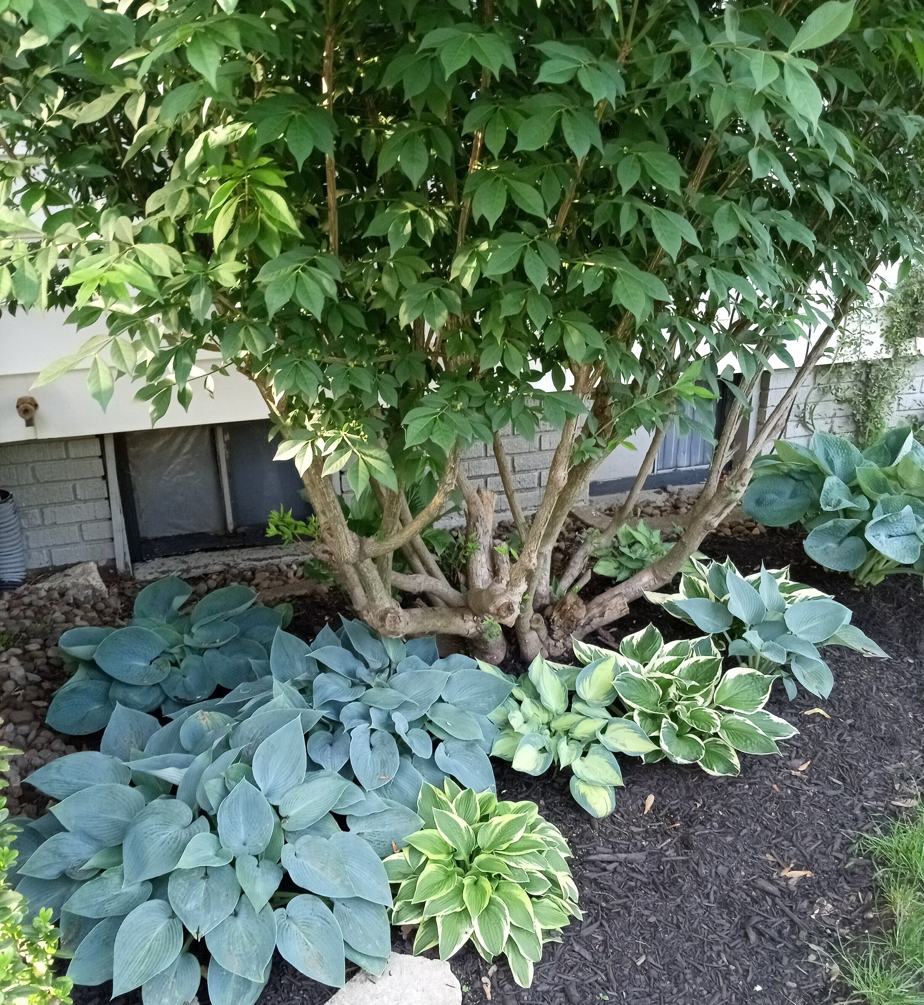 Details aan de buitenkant