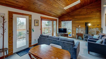 TV, fireplace, books, music library