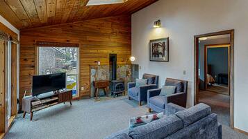 TV, fireplace, books, music library