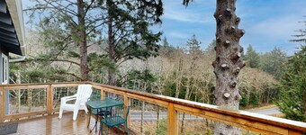 Woodsy retreat near the beach with WiFi, washer/dryer & gas fireplace