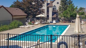 A rectangular swimming pool with a metal fence, surrounded by lounge chairs and umbrellas.