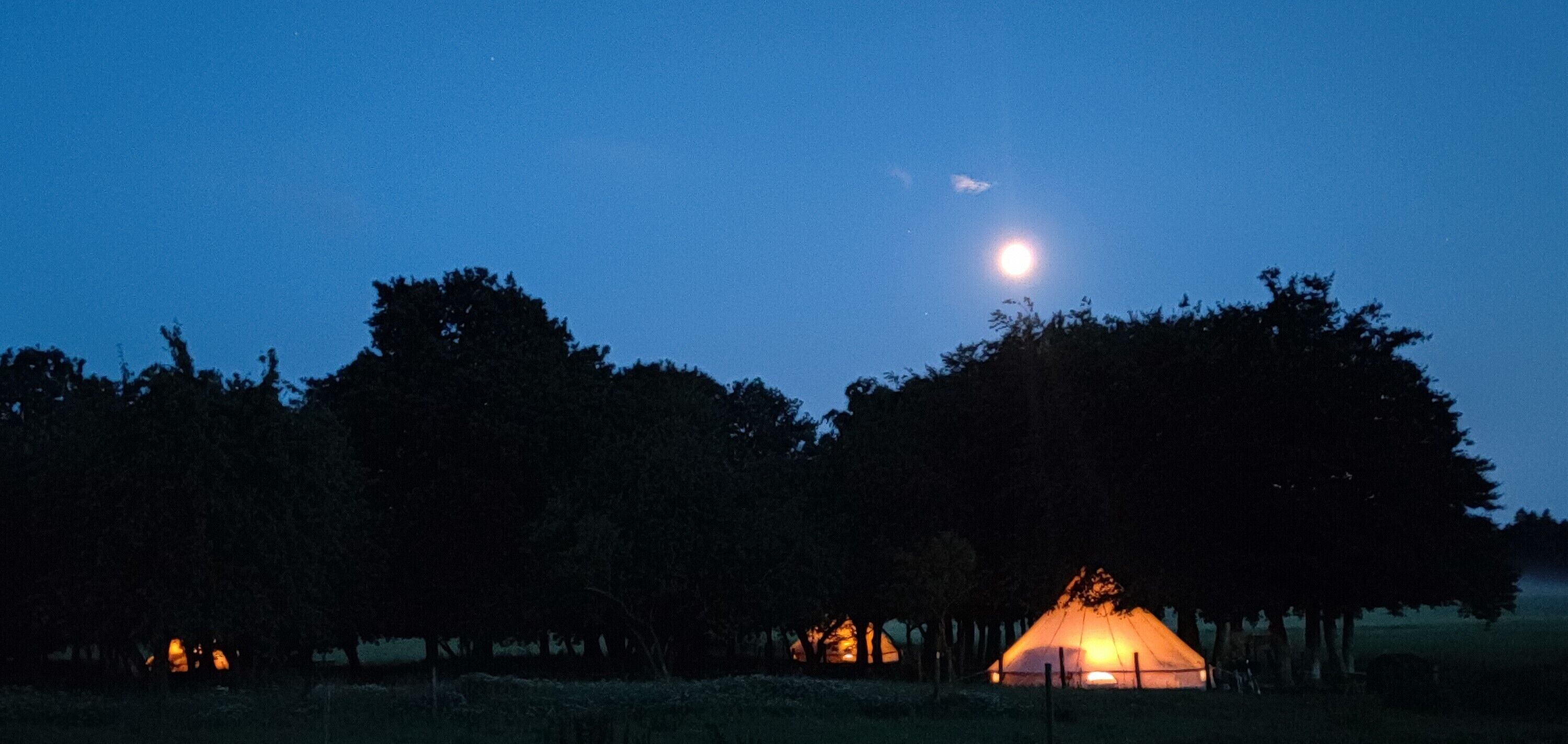 Una noche con cielo iluminado por la luna, árboles y una tienda de campaña encendida en un campo.