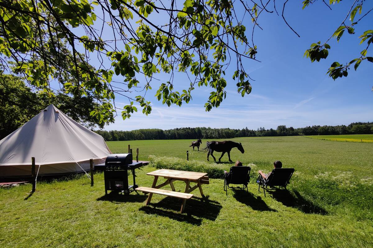 Una tienda de campaña, una mesa de picnic y sillas en un campo cubierto de césped, con un caballo a lo lejos.