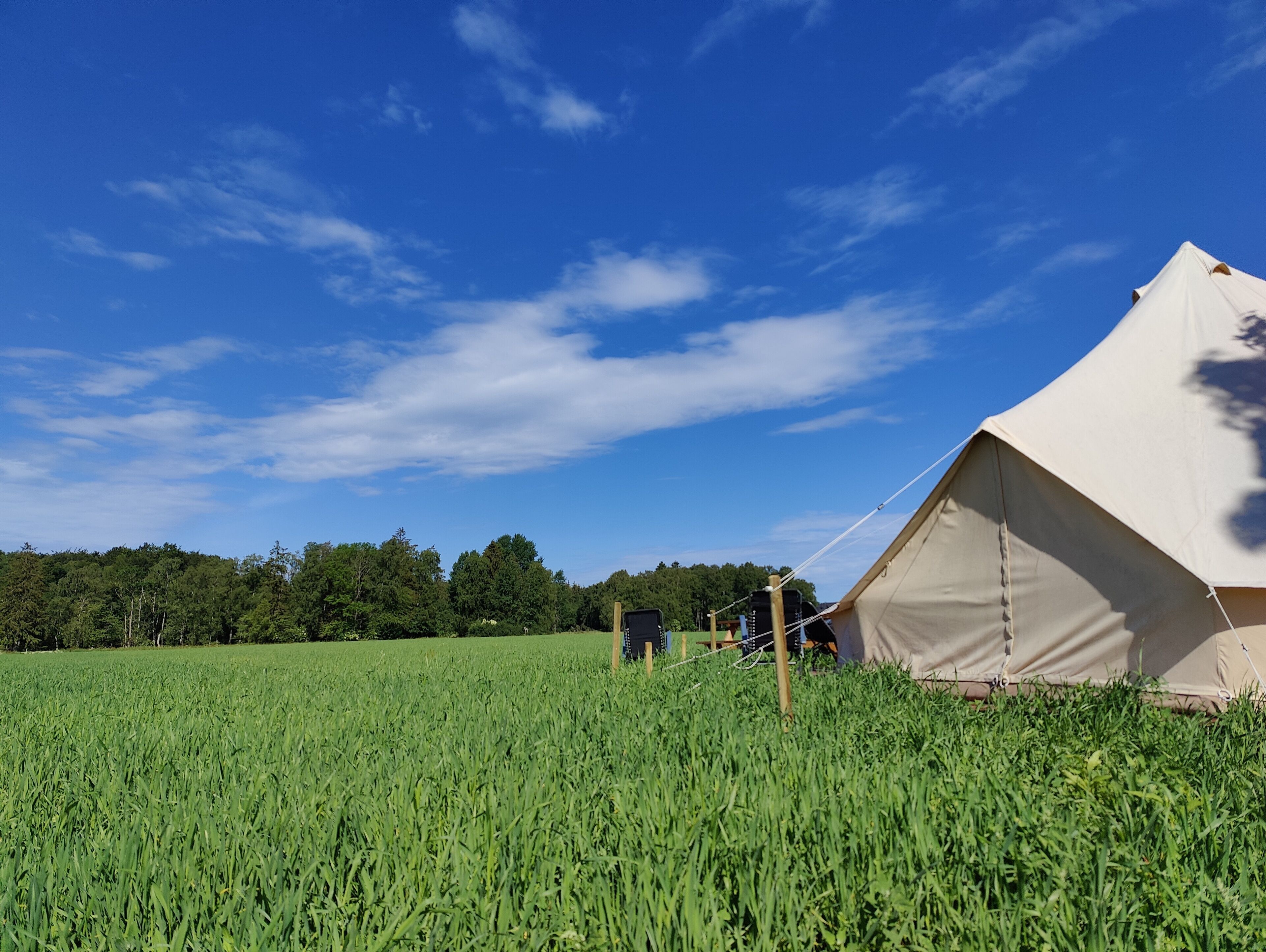 A tent in a grassy field with a clear blue sky.