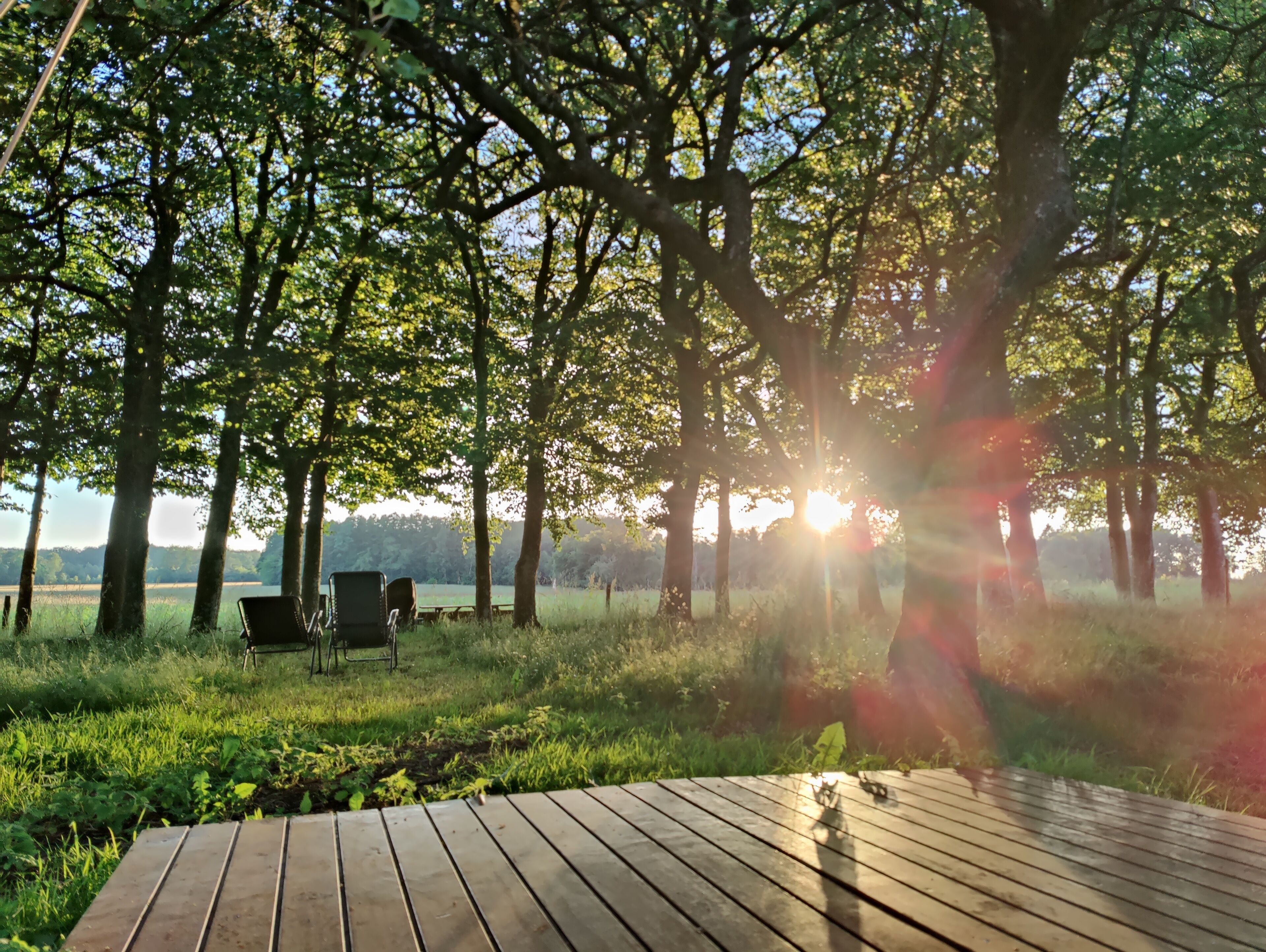 Luksus-telt - tekøkken - udsigt til have (Spaetten) | 防过敏的被褥、特色装修、床单