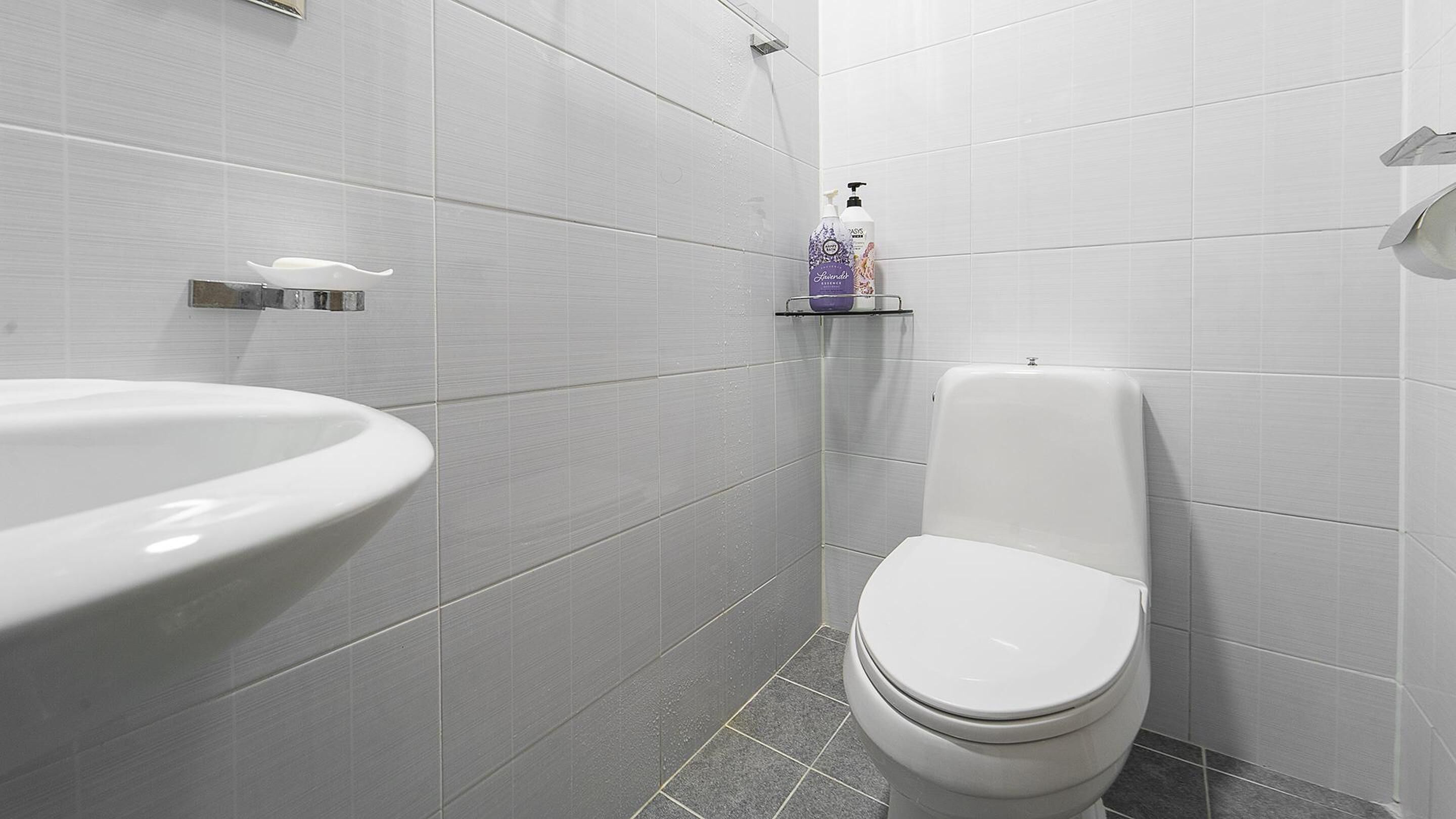 Une salle de bain moderne avec un lavabo blanc, des toilettes et une étagère contenant des articles de toilette.