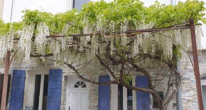 Le Mas Cothy en Provence