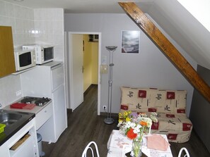 80-厘米纯平电视 (配备卫星频道)、电视