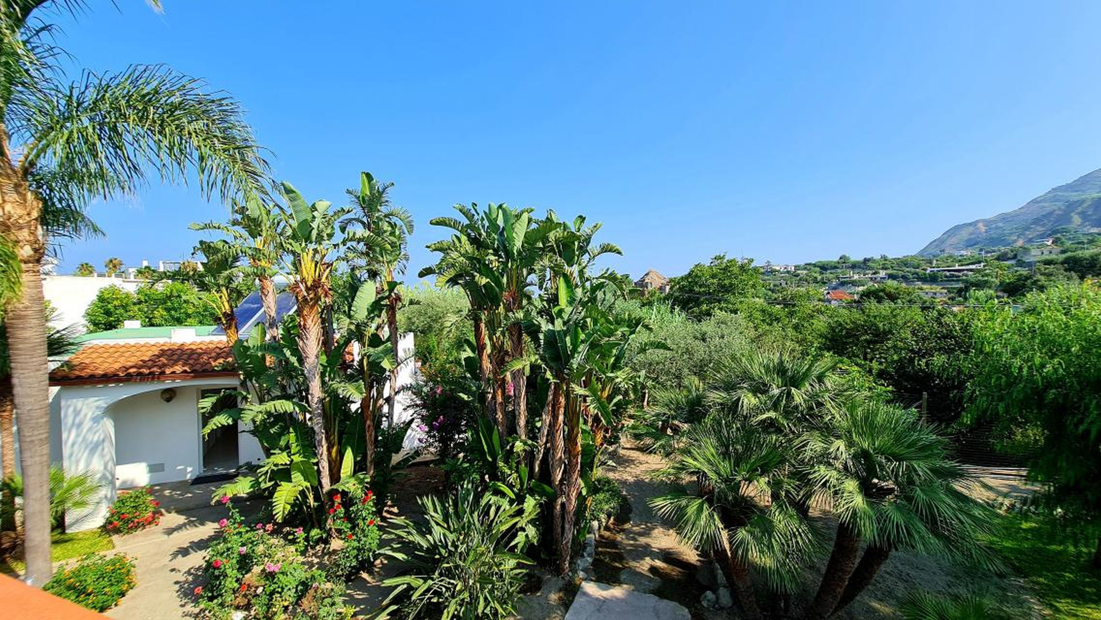 Foto - Cocos Park Ischia