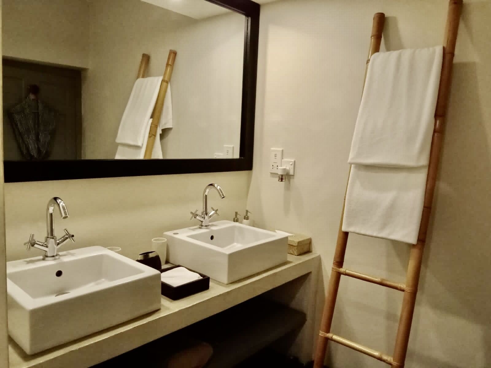 A bathroom with two sinks, a mirror, and a wooden ladder.