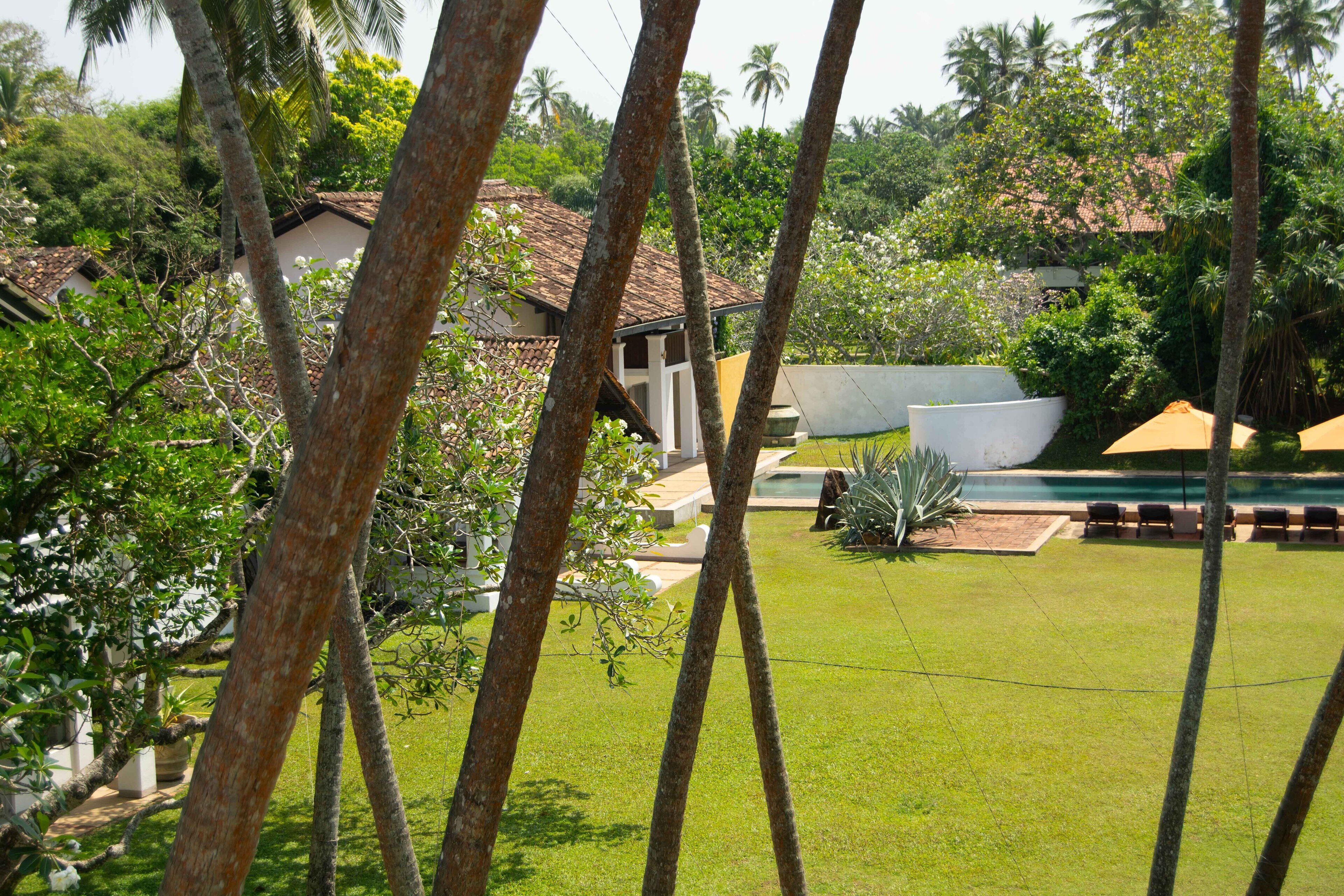 A well-maintained garden with a swimming pool, surrounded by lush greenery and palm trees.