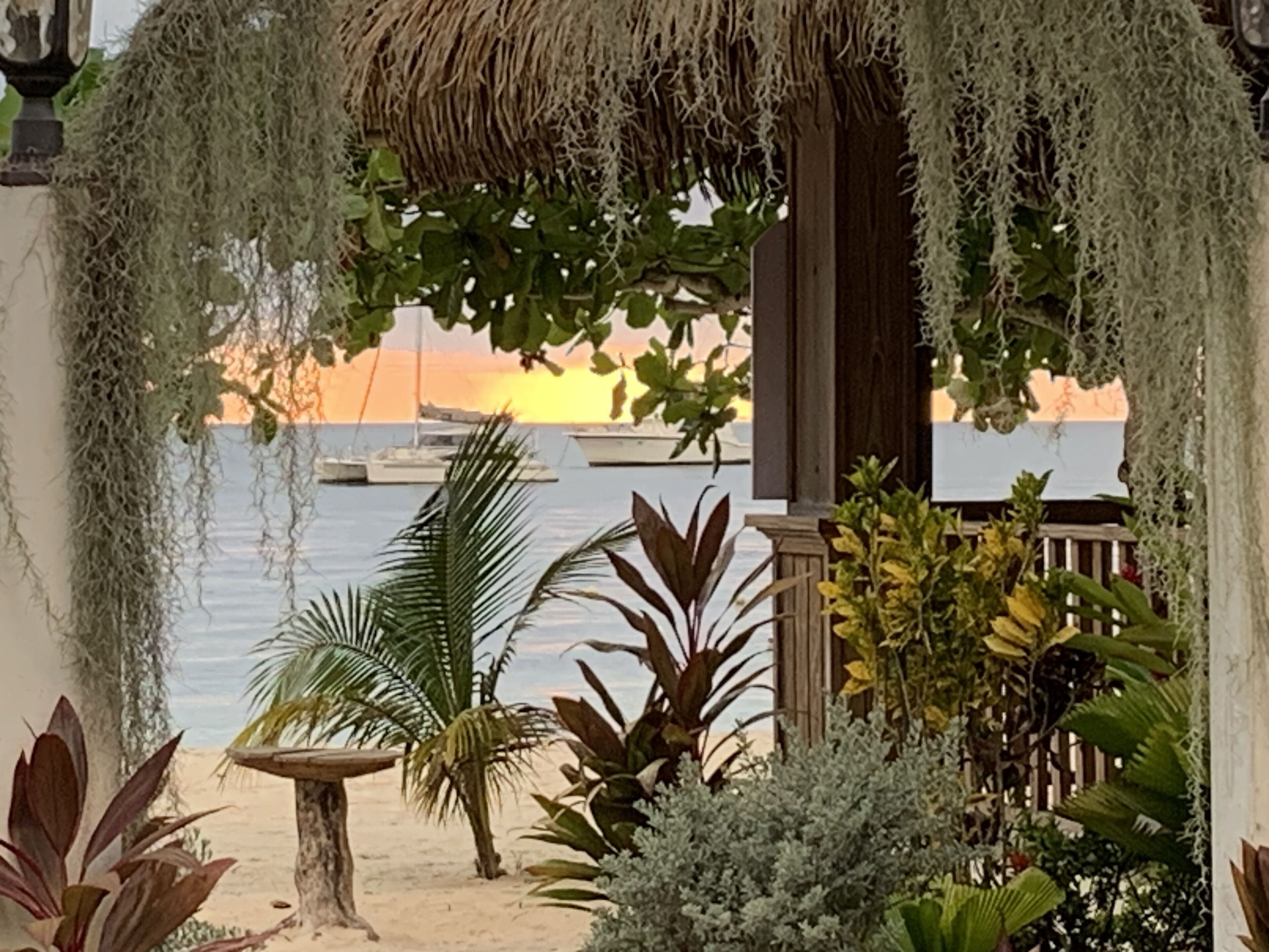 Studio | Property grounds