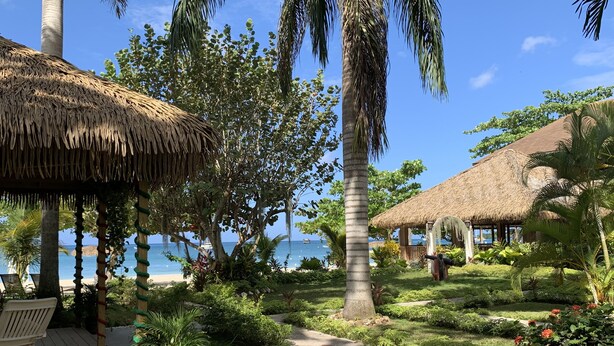 A tropical resort with thatched-roof structures, a palm tree-lined pathway, and a view of the ocean.