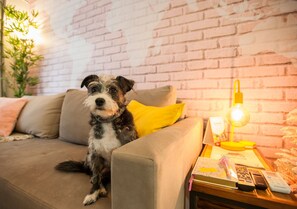 Appartement Design | Intérieur