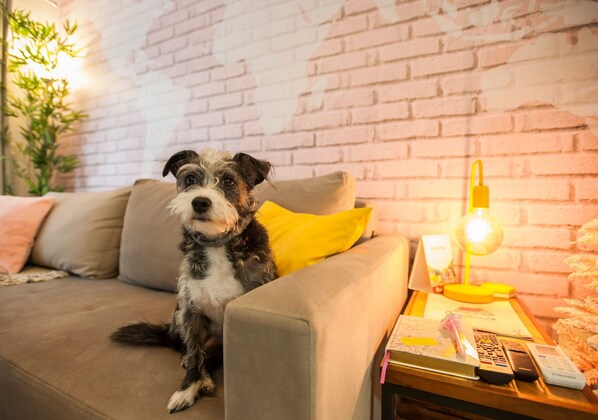 Design Apartment | Interior