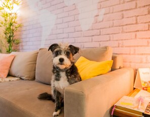 Design Apartment | Interior - LOCAR-IN GRAMADO- Onze-1 (Gramado)