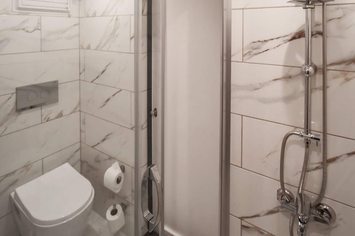 Ducha, secador de pelo, toallas y papel higiénico