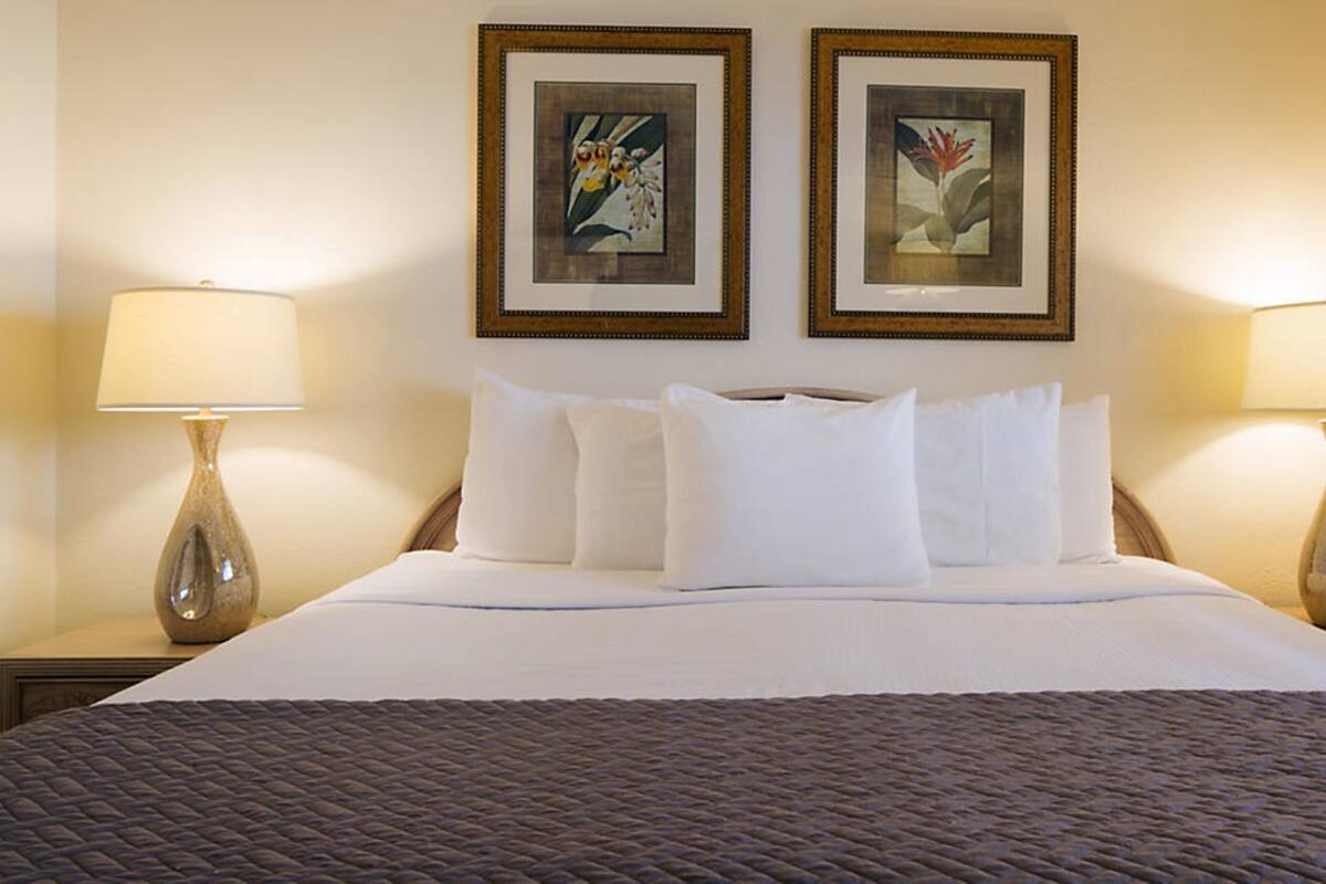 A hotel room with a large bed, two framed floral paintings on the wall, and two bedside lamps.