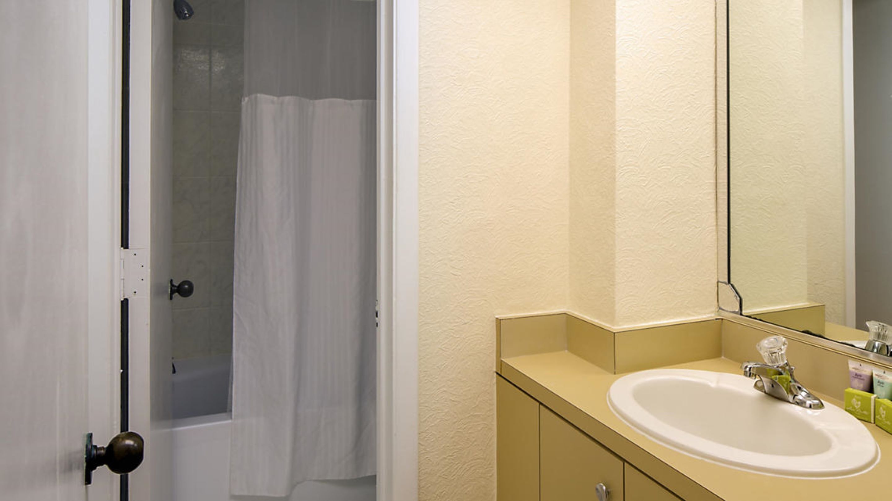 A bathroom with a shower, a sink, and a mirror.