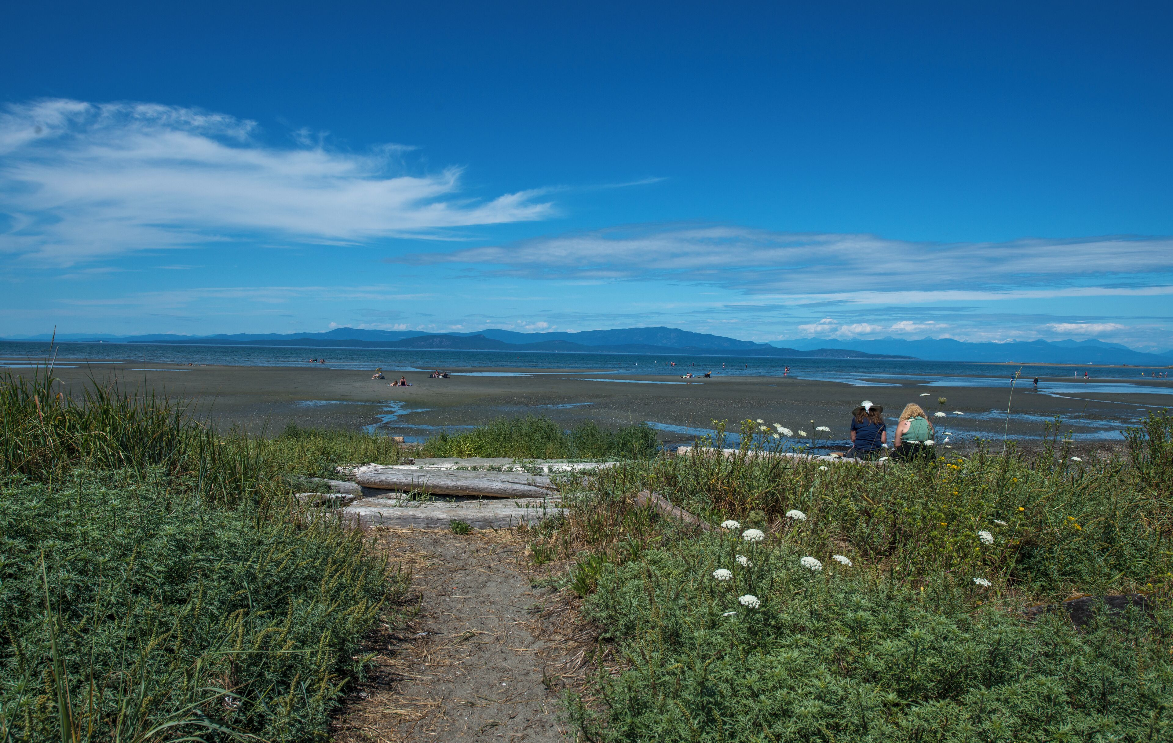 A beach with a clear sky, distant mountains, and a path leading to the shore.