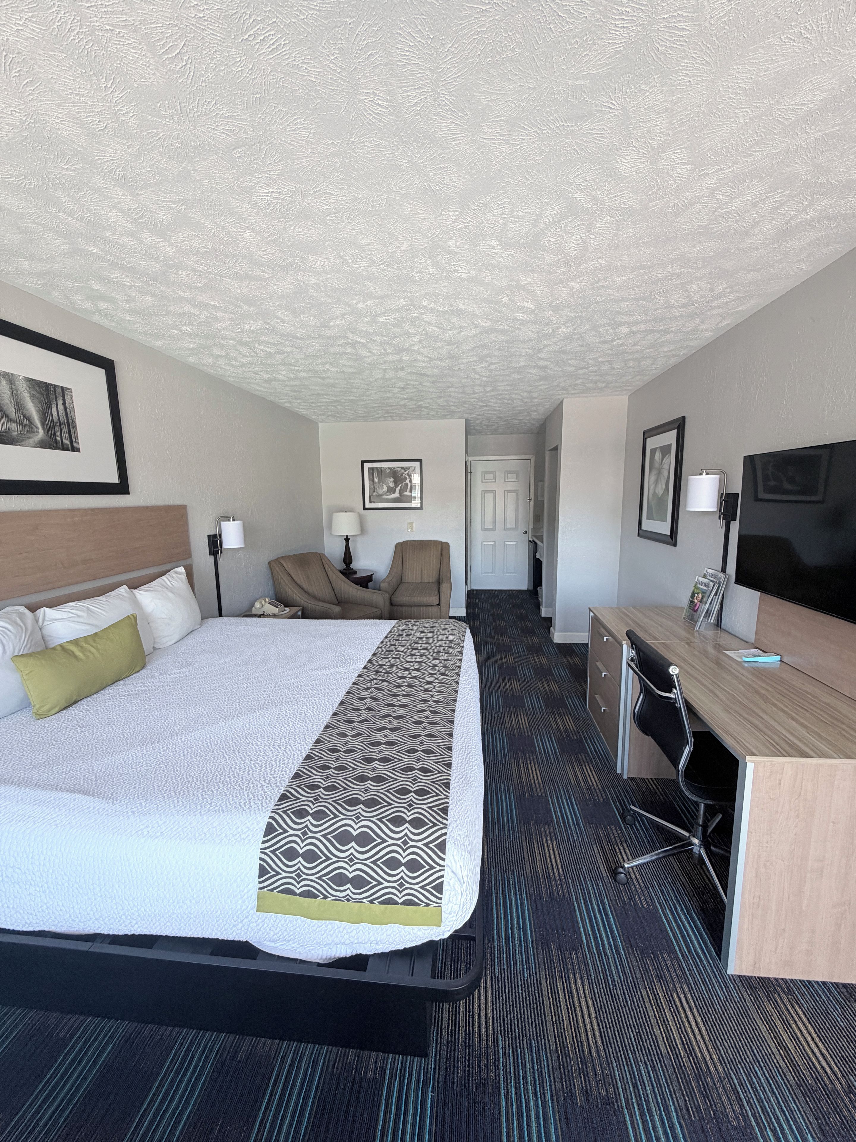 Una habitación de hotel con cama, escritorio, silla, televisor y puerta.