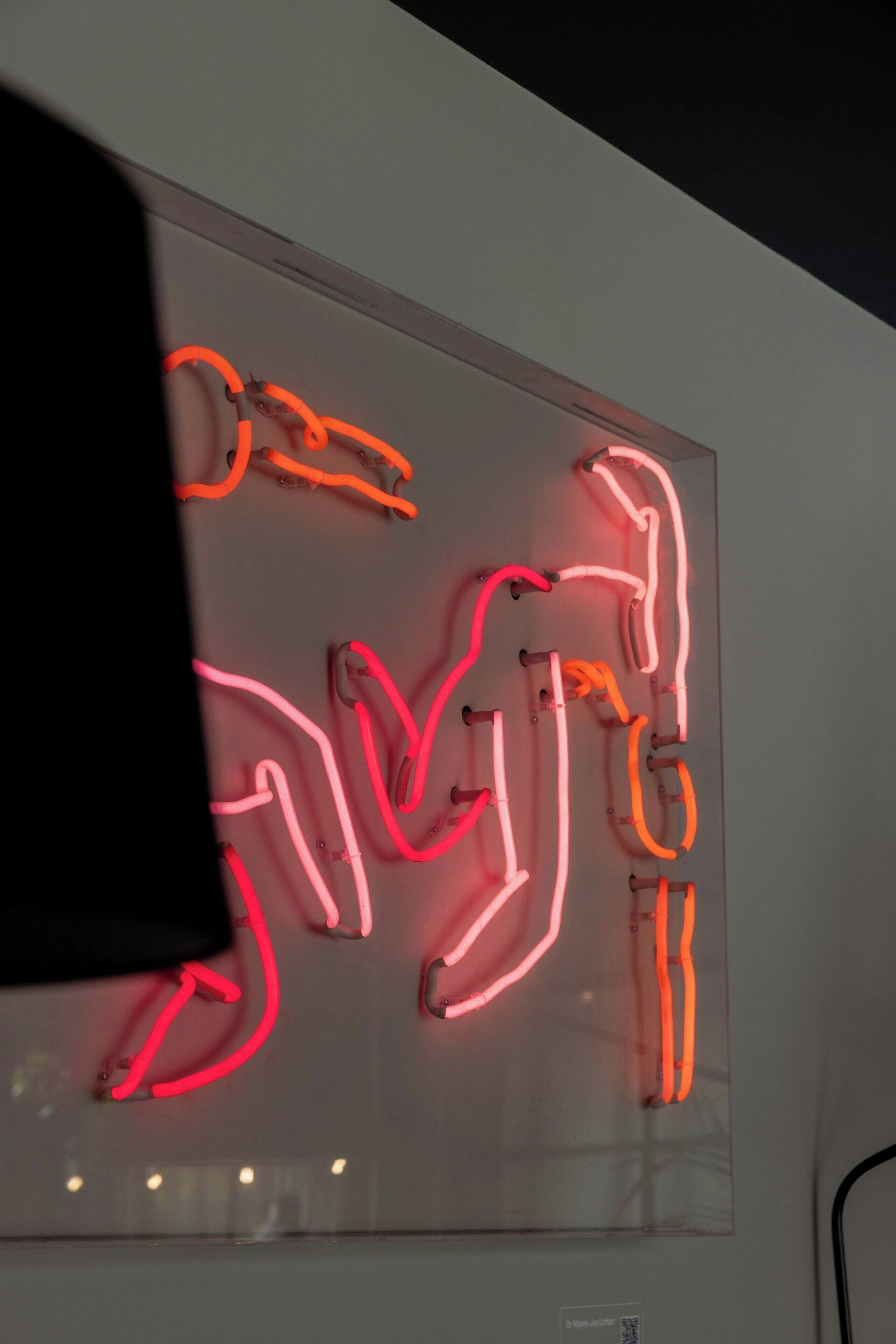 Een neon kunstinstallatie op een muur.