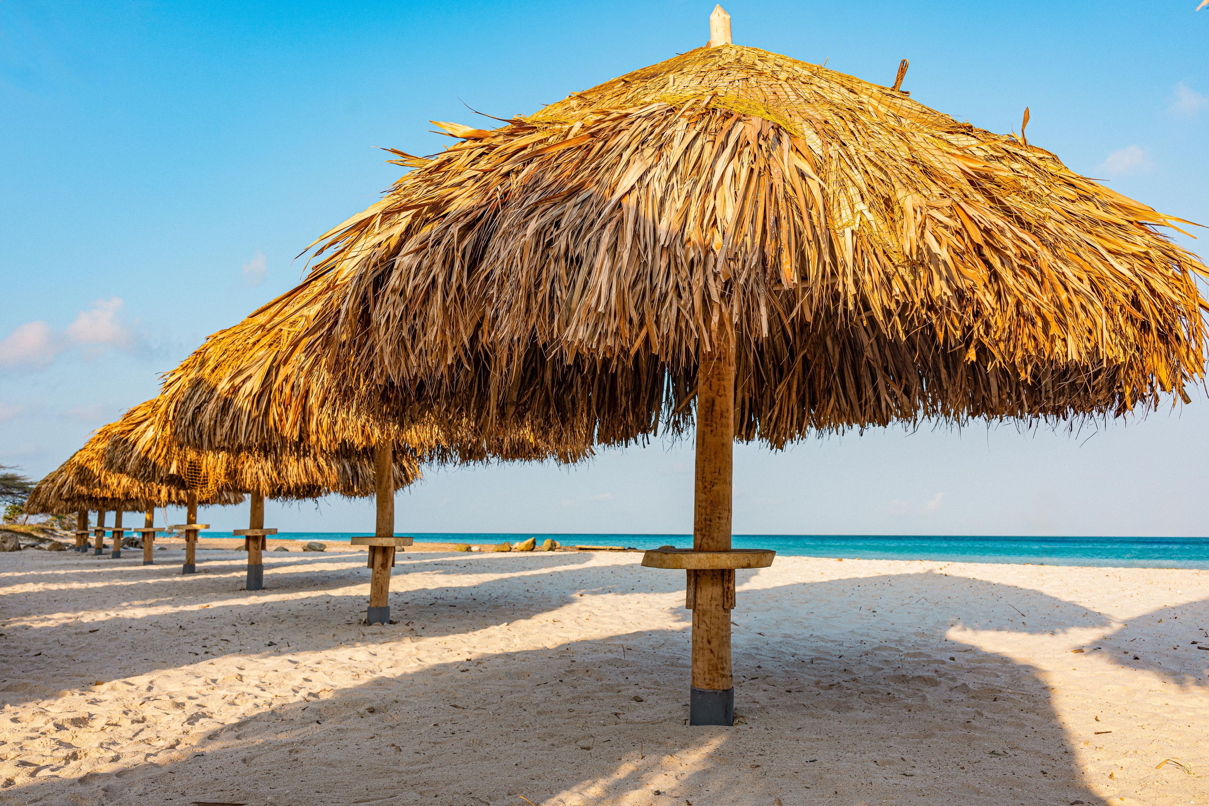 A beach with thatched umbrellas and wooden posts.