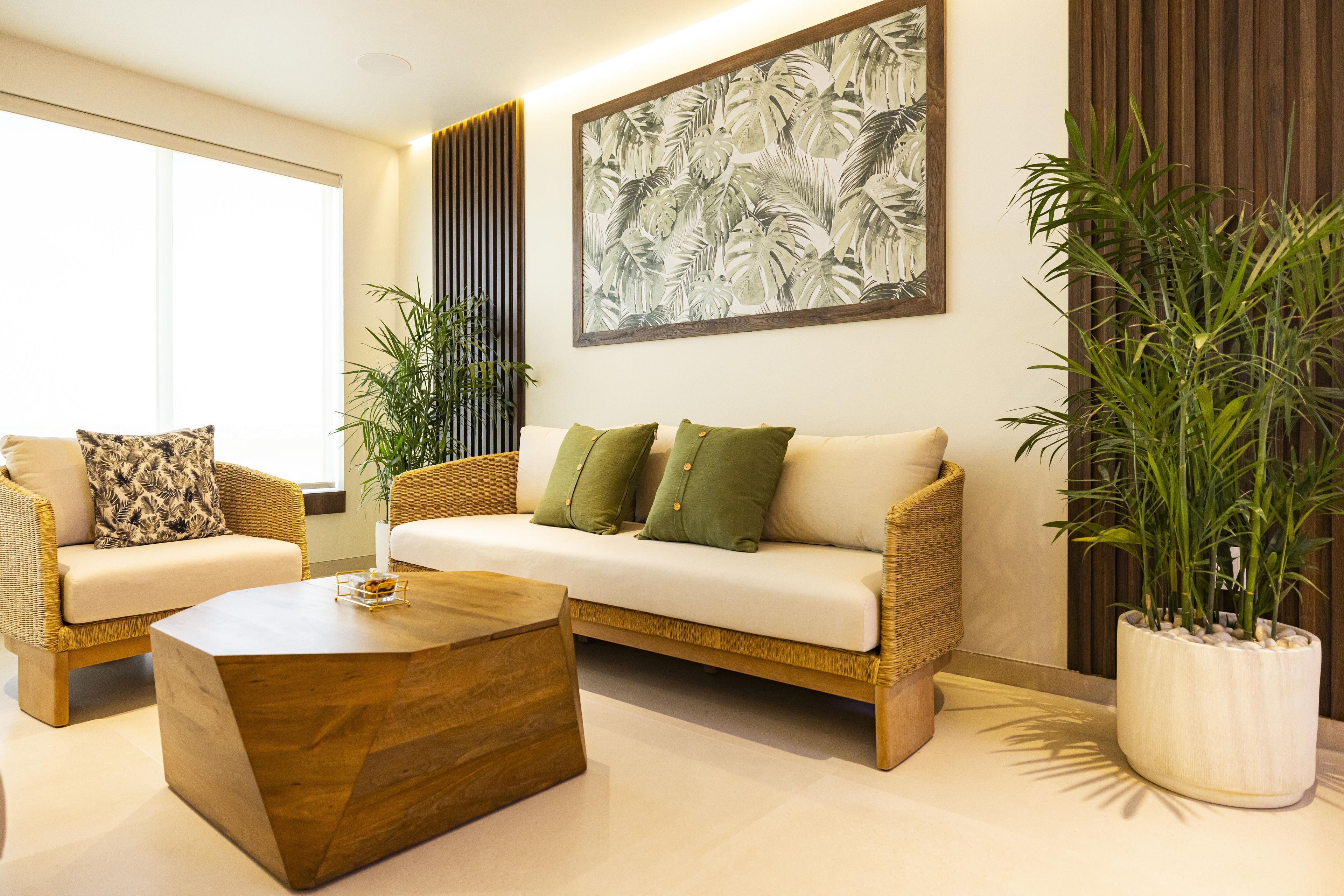 A modern living room with a sofa, two armchairs, a coffee table, and a large potted plant.