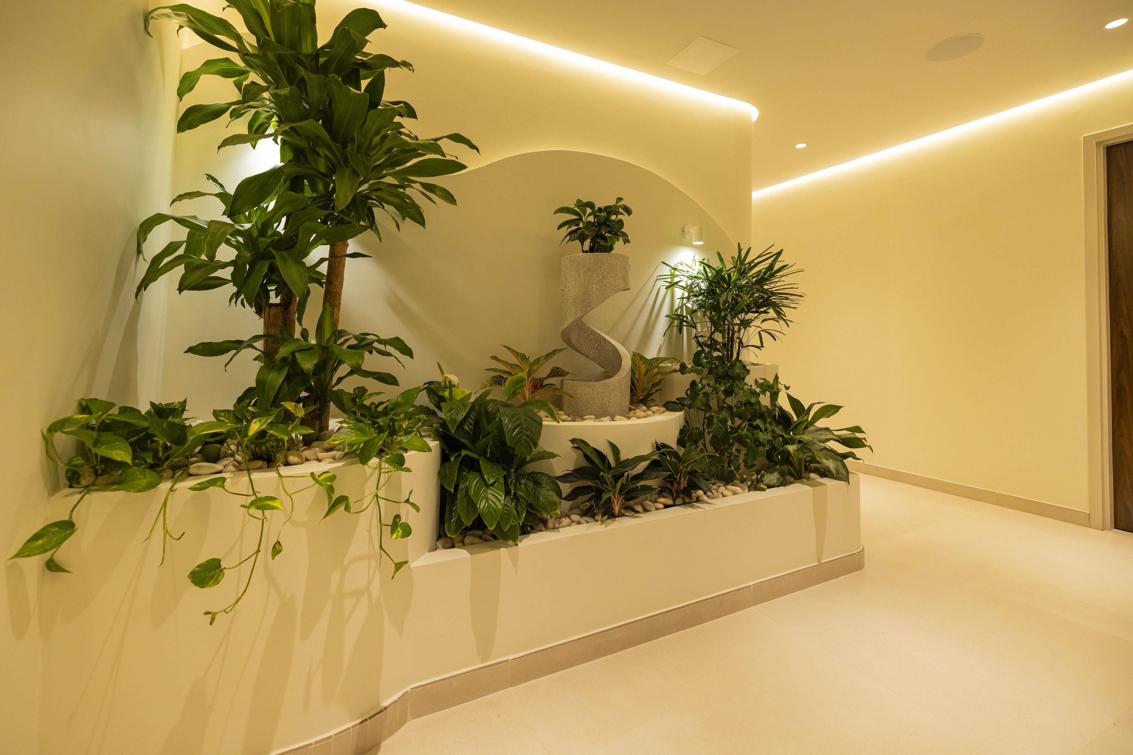 Decoração moderna com parede curva, escada em espiral e diversos vasos de plantas.