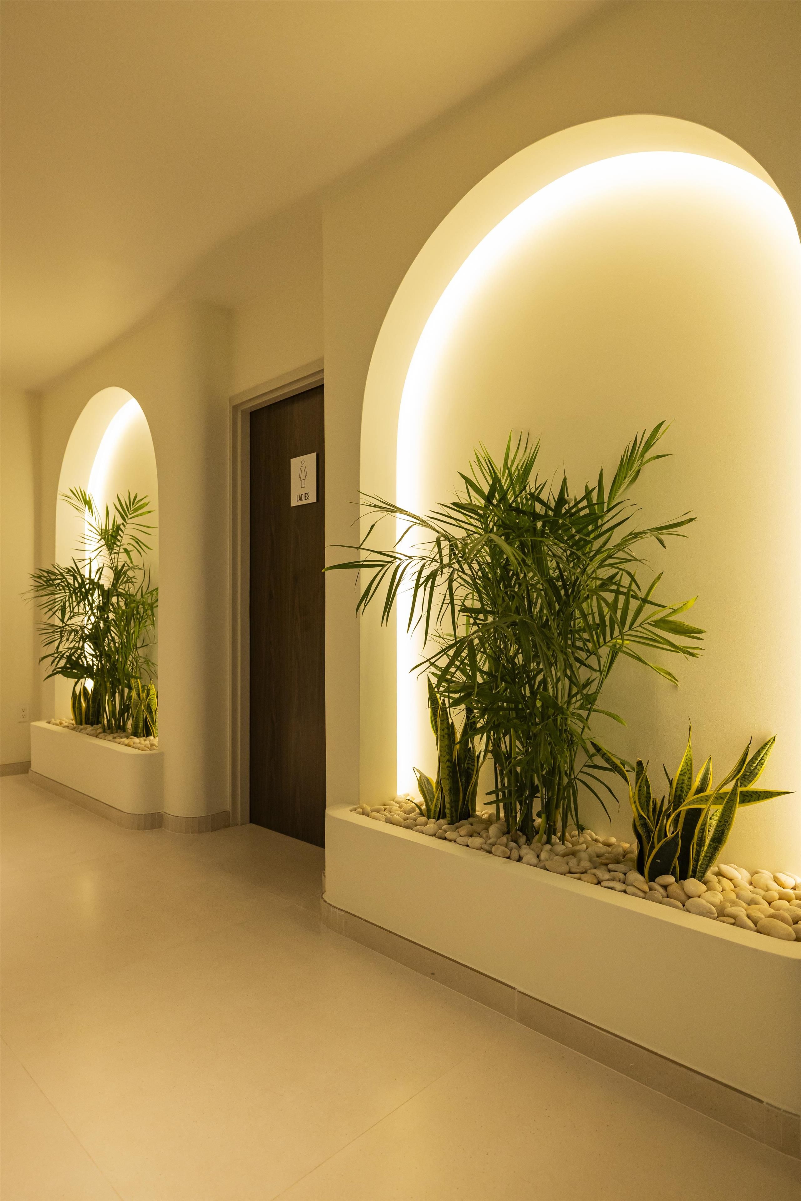 A hallway with arched lighting, potted plants, and a door marked 'Ladies'.