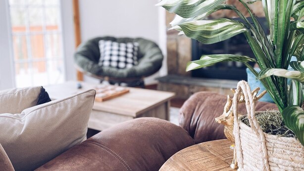 Una sala de estar con un sofá de cuero marrón, una mesa de centro redonda de madera y una planta verde grande en una cesta de mimbre.