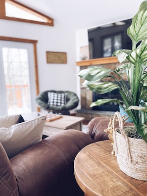 Smart-TV, Kamin, Videospiele, Bücher
