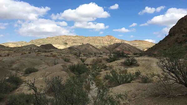 Paisaje desértico con terreno pedregoso y vegetación escasa.