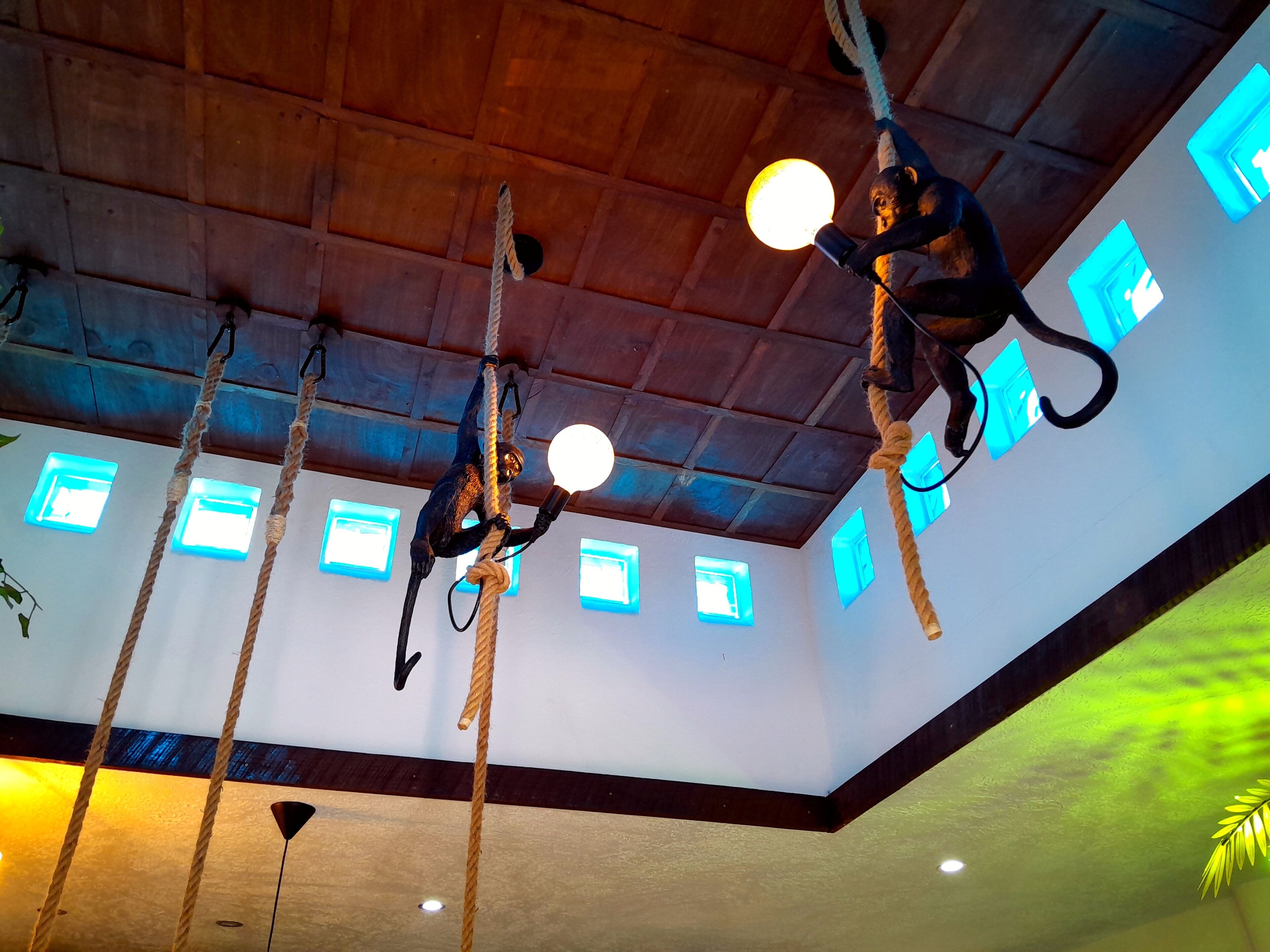 A room with a high ceiling, wooden beams, and multiple windows.