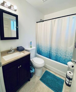 Combined shower/bathtub, hair dryer, towels, soap - Peaceful Talkeetna Getaway #3 (Talkeetna)
