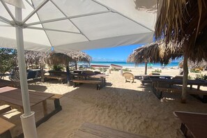 Property grounds - Special FEE APARTMENT POOL special price (Punta Cana)