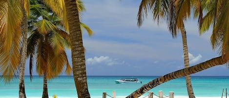 Una spiaggia nelle vicinanze