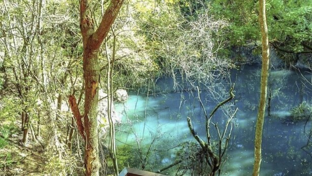 A wooden deck with a view of a forested area and a body of water. - Near UF and SHANDS Hospital cozy spot (Gainesville)