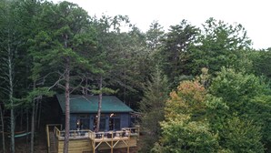 Une cabane dotée d  ’un toit végétalisé, d’une terrasse en bois et d’un escalier menant à l’entrée.