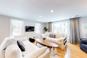 TV, fireplace, books