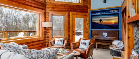 TV, fireplace, offices