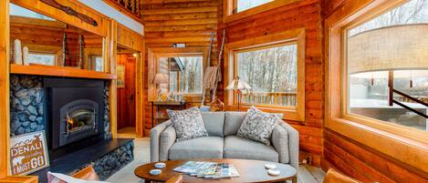 Télévision, cheminée, espaces bureaux