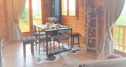 Chalet en bois avec vue magnifique