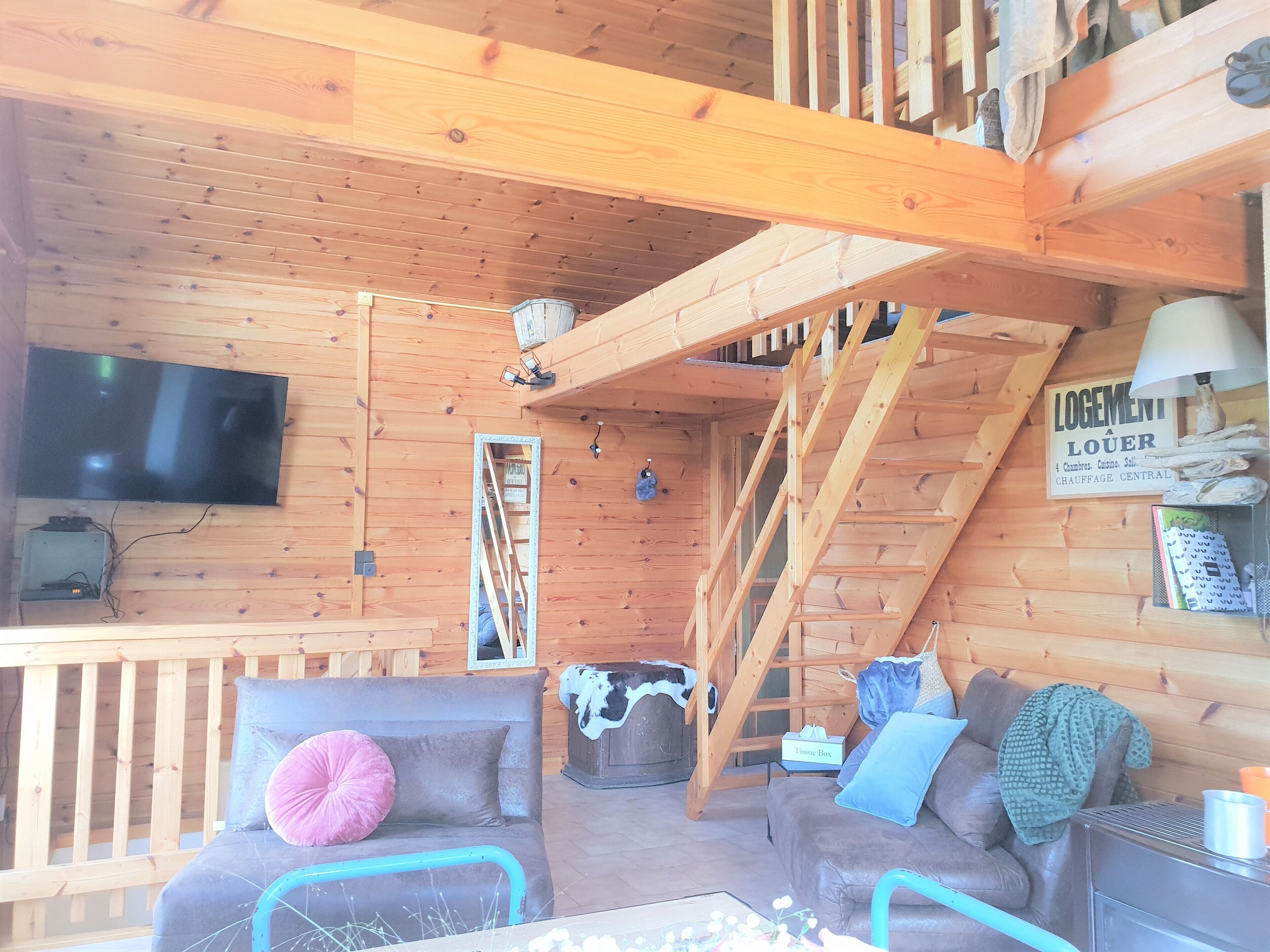 Smart TV, fireplace, video games, DVD player
