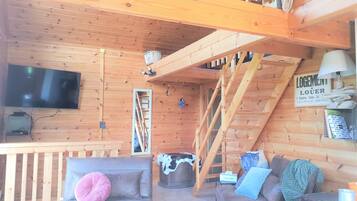 Smart TV, fireplace, video games, DVD player