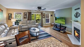 TV connectée, cheminée, lecteur de DVD