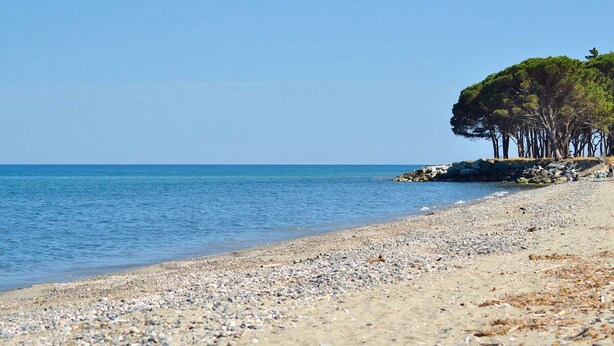 Una playa de guijarros con mar azul transparente y una fila de árboles a la derecha.
