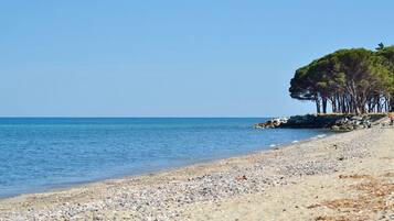 Plage à proximité, chaises longues, serviettes de plage